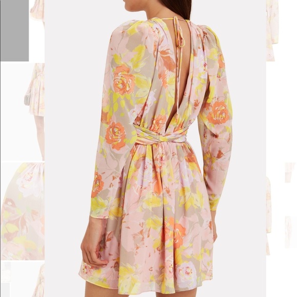 Ronny Kobo Alyson Floral Chiffon Dress Size Small - Picture 4 of 9